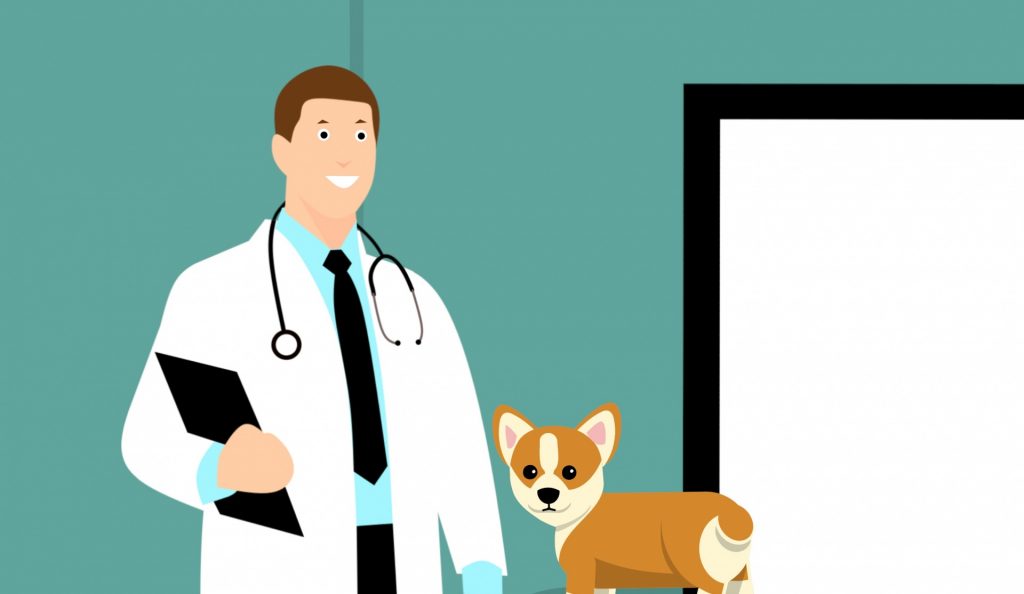 Koirien terveyden tutkiminen on edennyt 2000-luvulla pitkin askelin: Kennelliiton koirarekisteriin vuosittain kirjattavien terveystutkimuslausuntojen määrä on nelinkertaistunut